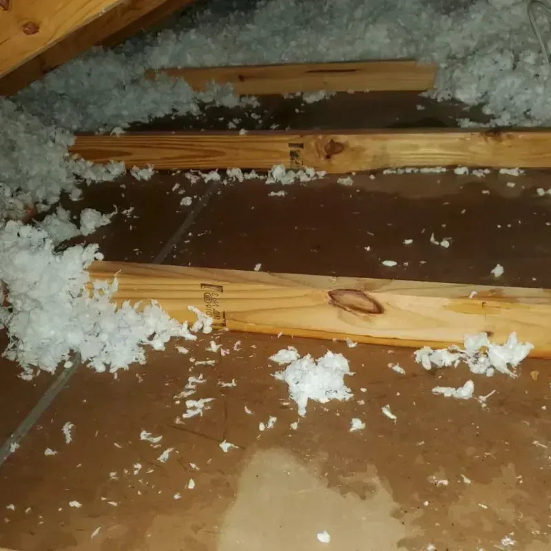 Attic Water Damage in Malad City, ID