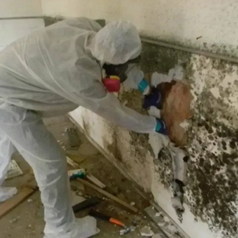 Mold Remediation and Removal in Malad City, ID