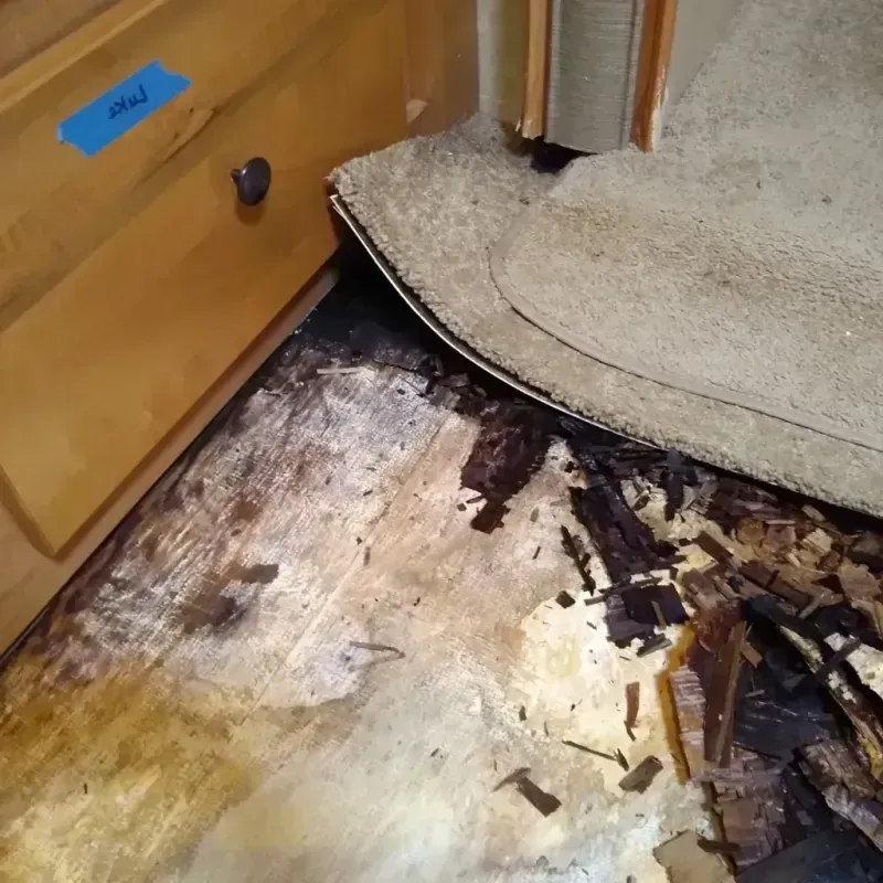 Wood Floor Water Damage in Malad City, ID